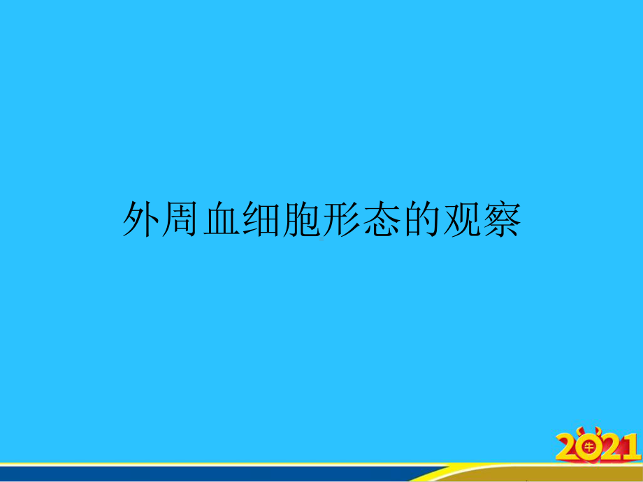 外周血细胞形态的观察课件.pptx_第1页