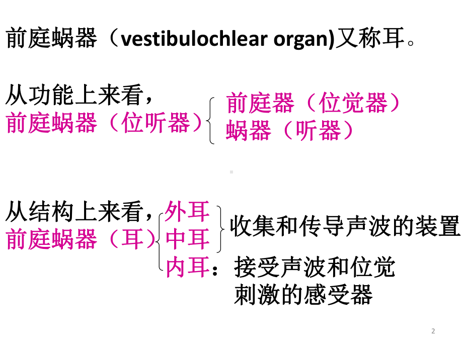 前庭蜗器医学课件.pptx_第2页