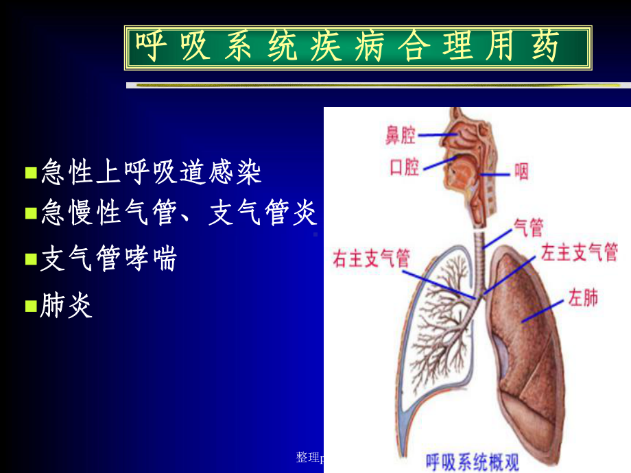 呼吸系统疾病的合理用药课件.ppt_第2页