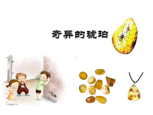 奇异的琥珀课件.ppt