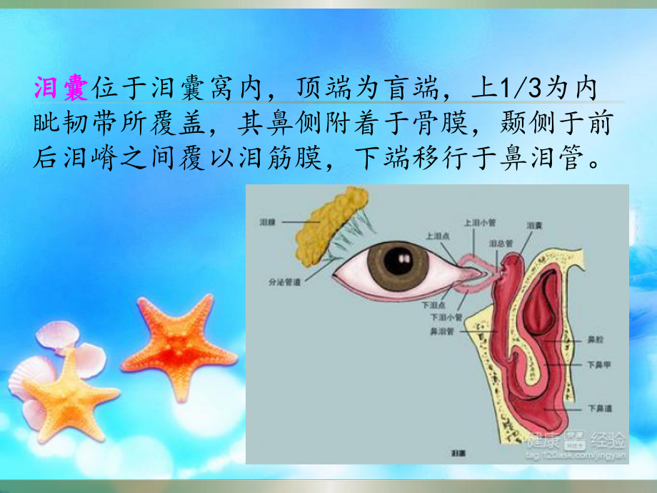 慢性泪囊炎患者的围手术期护理课件.ppt_第3页