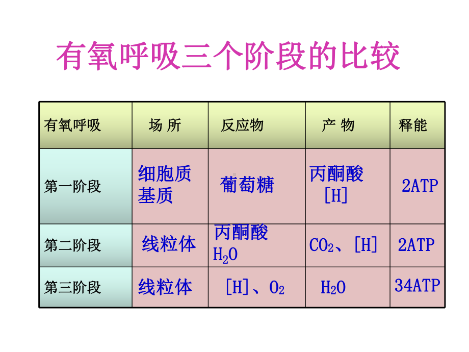 有氧呼吸过程演示集锦课件.ppt_第2页