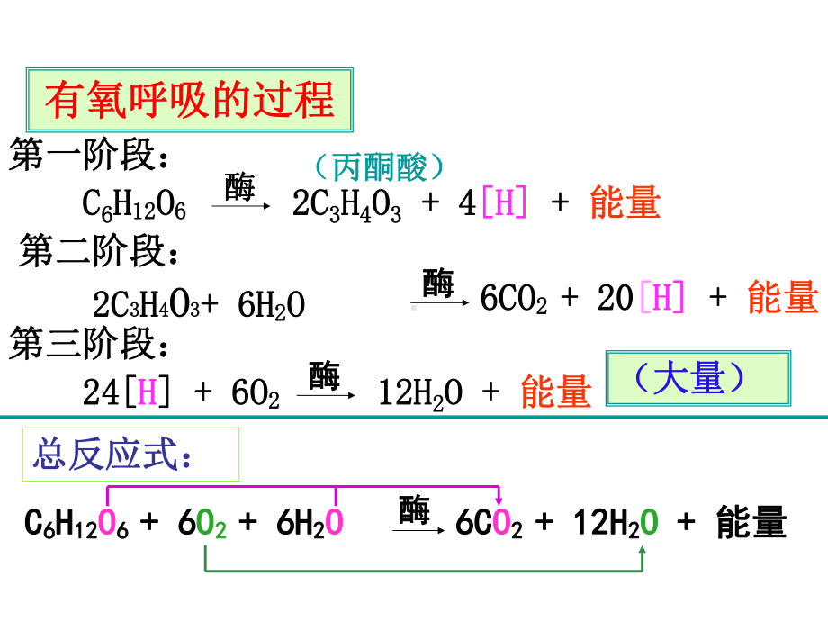 有氧呼吸过程演示集锦课件.ppt_第3页