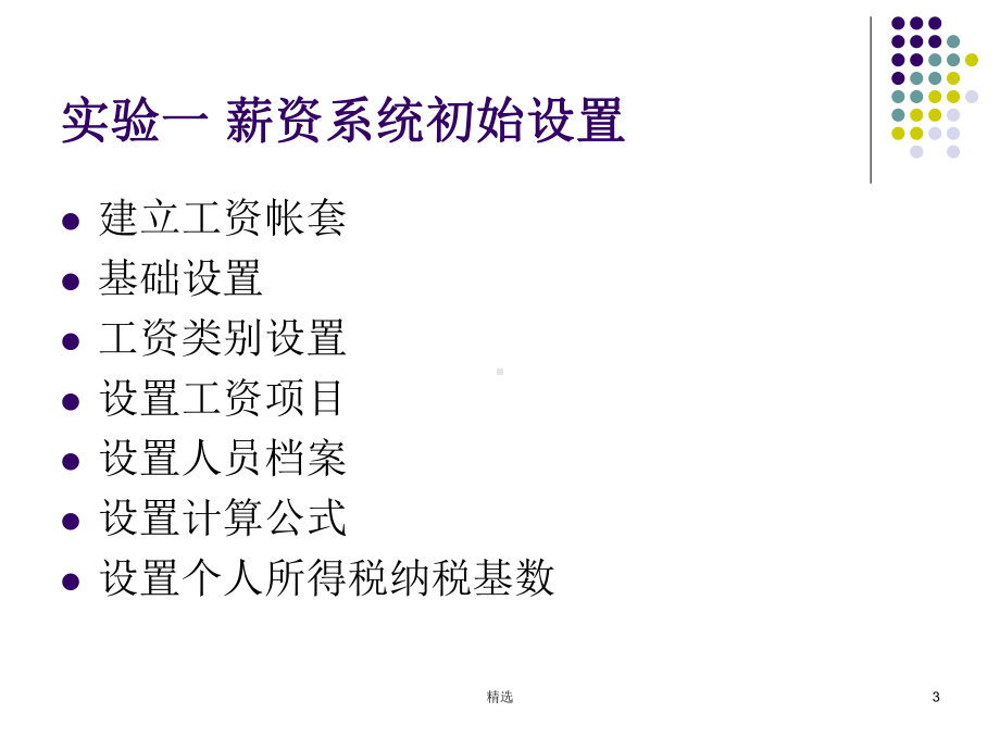 新版薪资系统课件.ppt_第3页