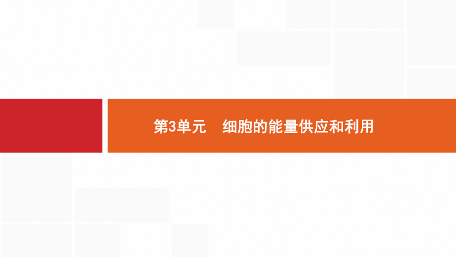 新设计生物人教大一轮复习课件：小册子-3单元-.pptx_第1页