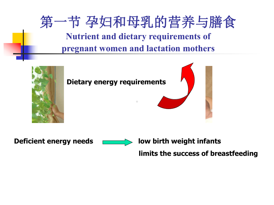 最全的营养和食品卫生学8课件.ppt_第3页