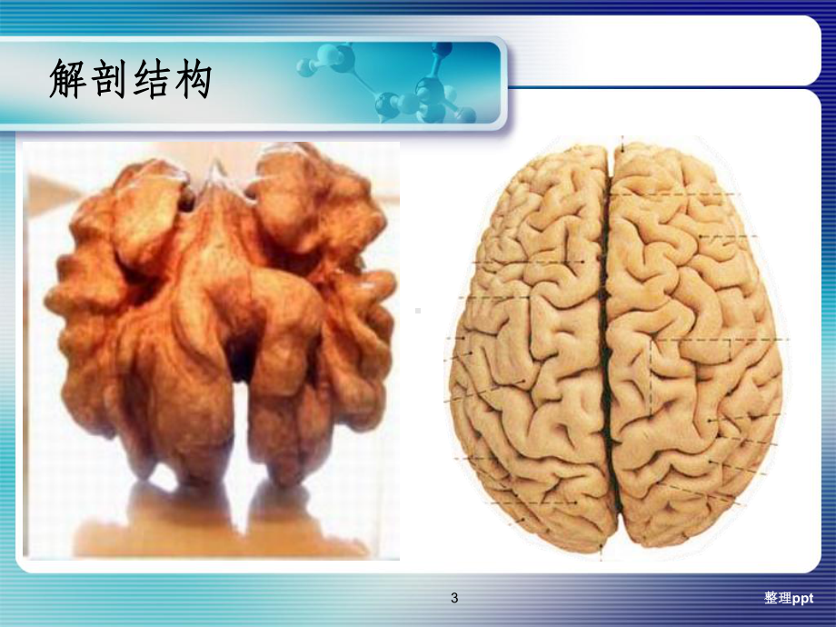 护理临床思维与实践课件.ppt_第3页