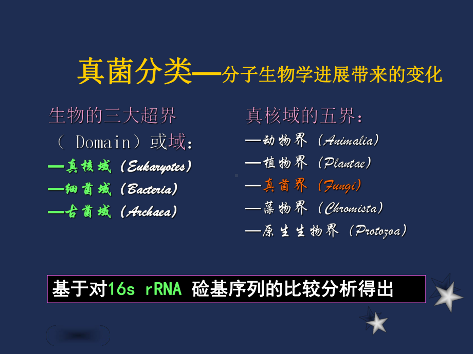 抗真菌治疗课件.ppt_第2页