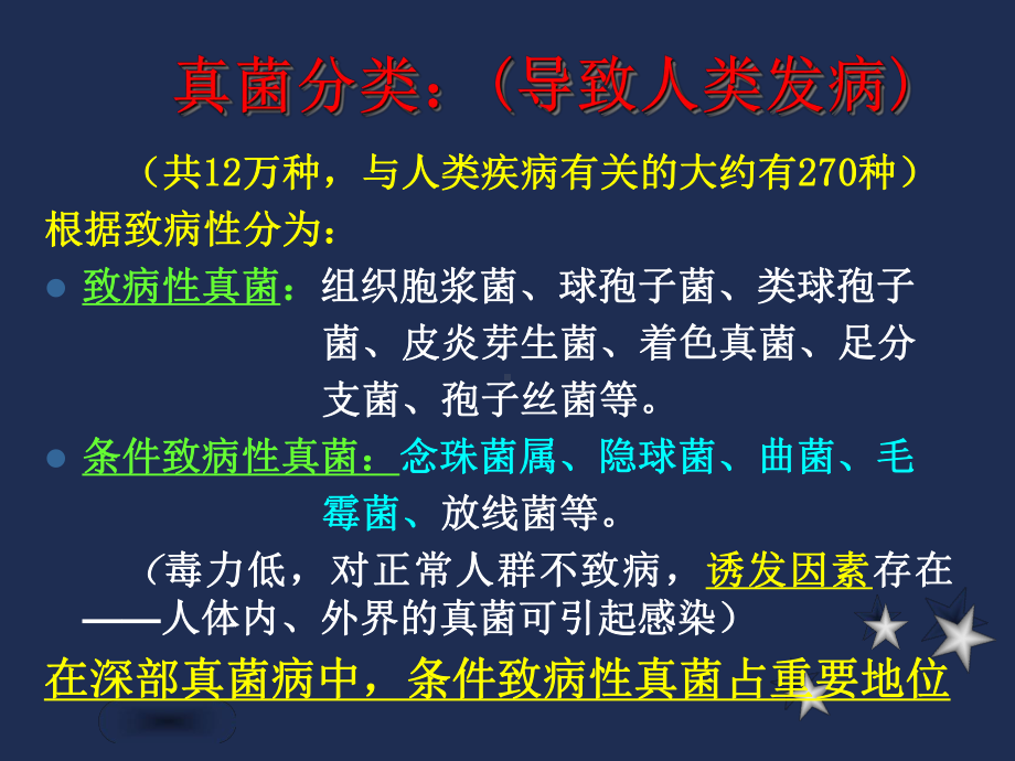 抗真菌治疗课件.ppt_第3页