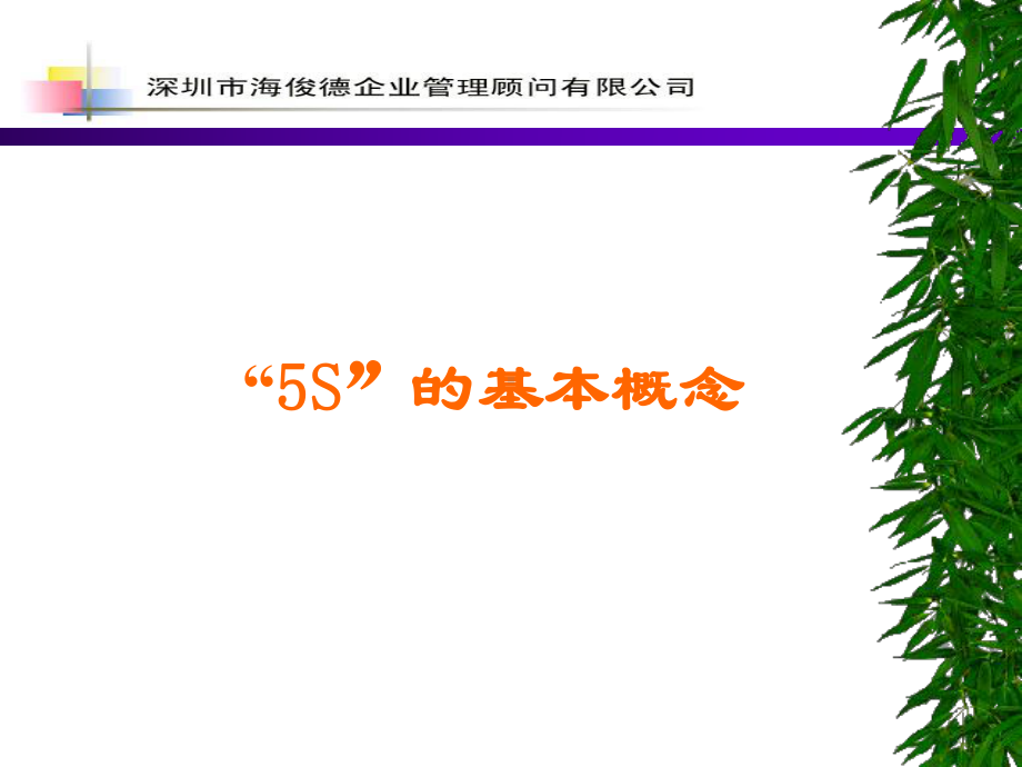 推行5S的实施原则(-51张)课件.ppt_第3页