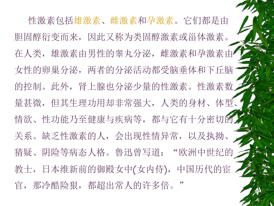 性激素的种类及其功能课件.ppt_第2页