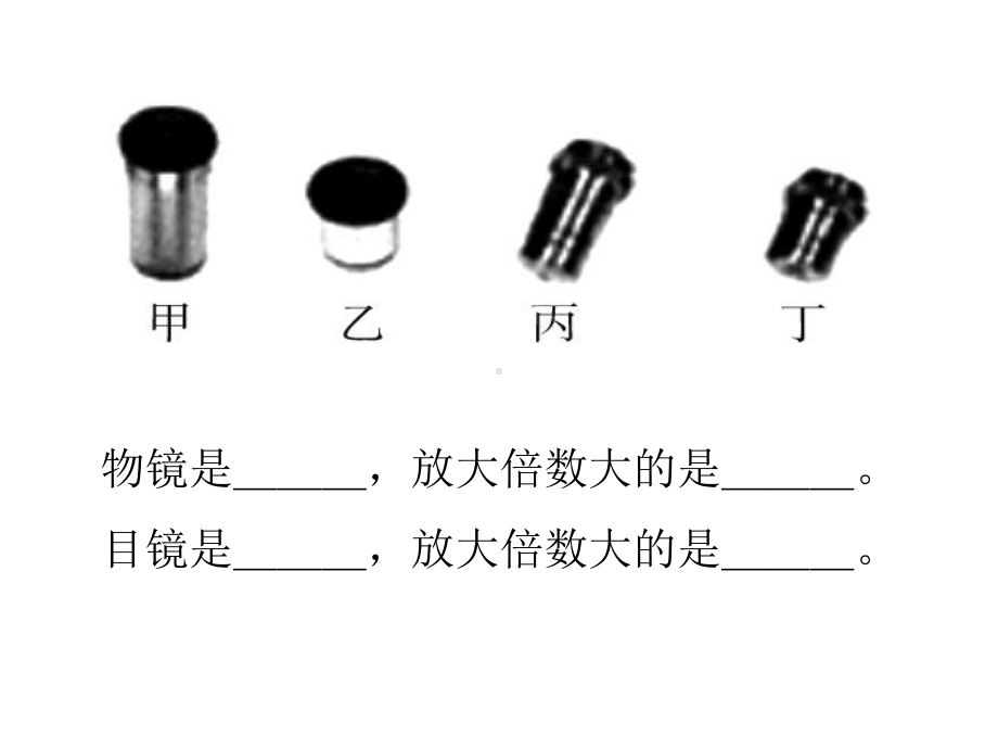 显微镜课件.ppt_第2页