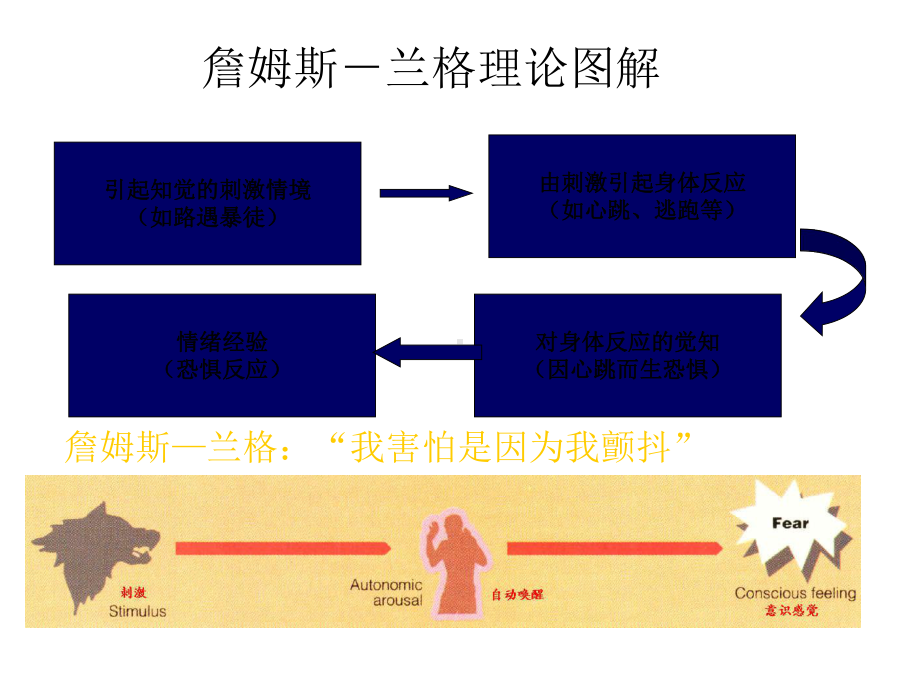 情绪理论课件.ppt_第2页