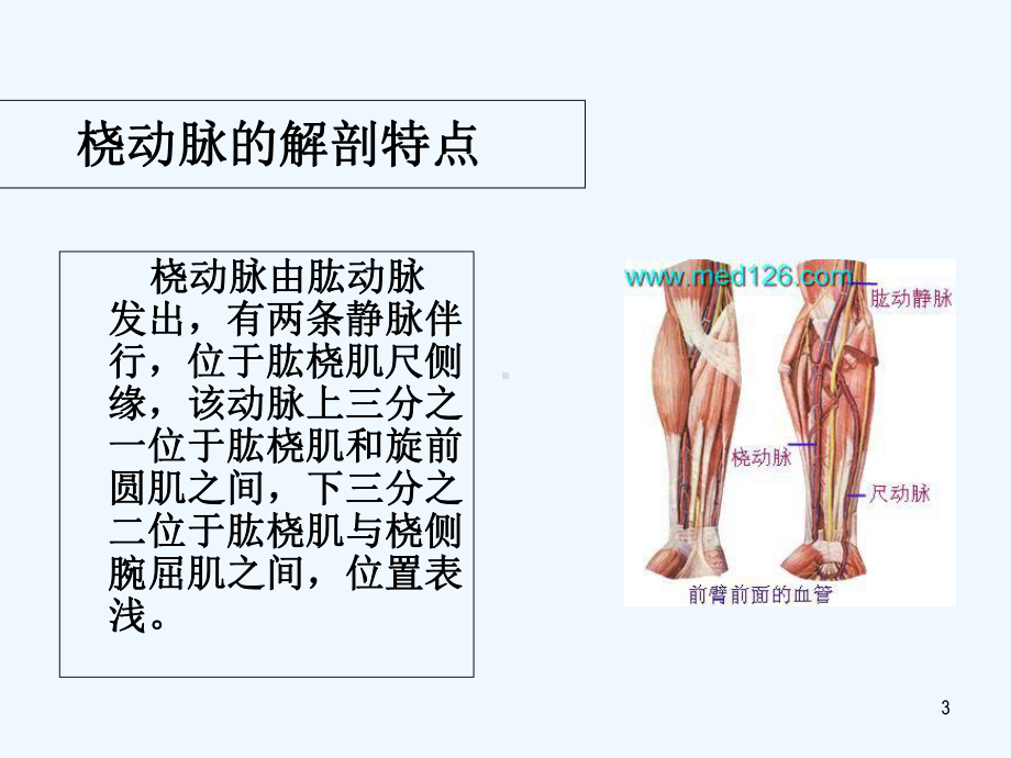 新生儿动脉穿刺技巧-课件.ppt_第3页