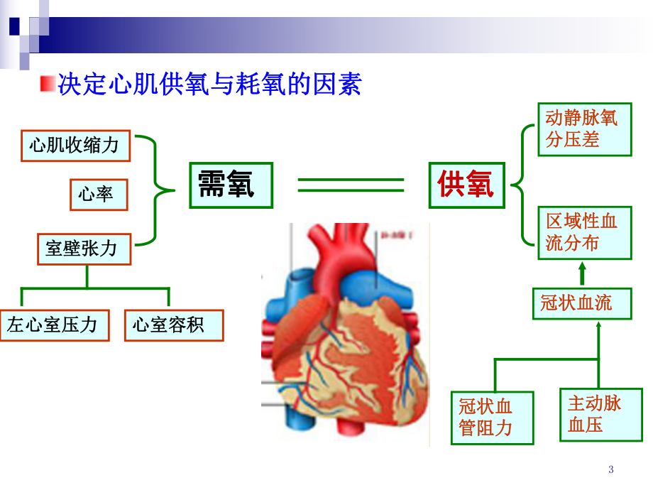 抗心绞痛药AntianginalAgents课件.ppt_第3页