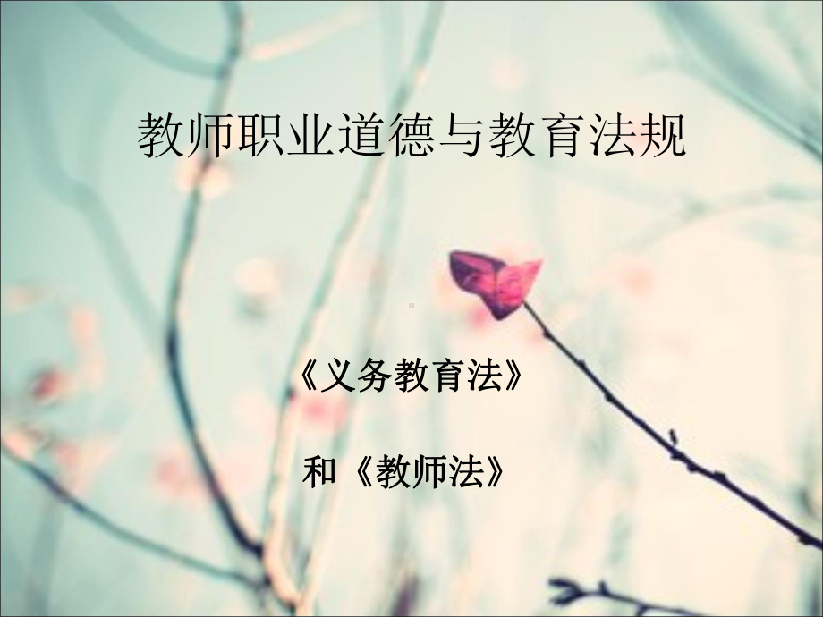 教师职业道德教育法规课件.ppt_第1页