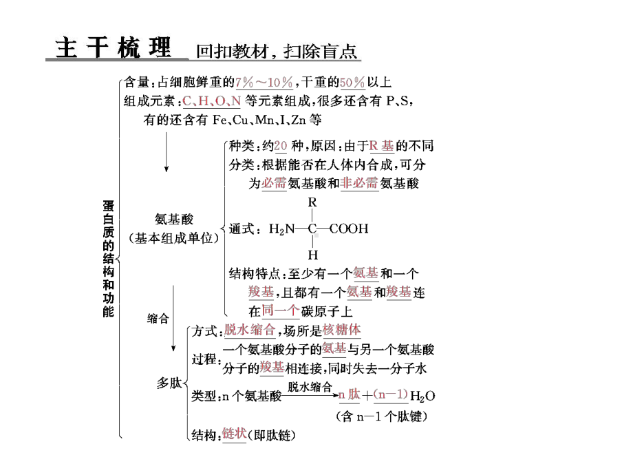 新课标高考生物总复习同步课件：1-2-2-生命活动的主要承担者-蛋白质.ppt_第2页