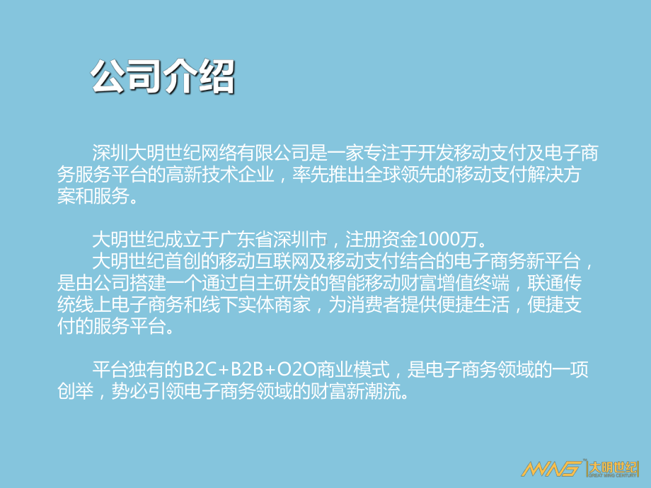 某电子商务新平台项目介绍(-73张)课件.ppt_第2页