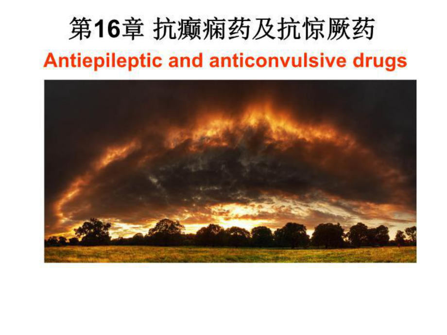 抗癫痫药抗惊厥药课件.ppt_第1页