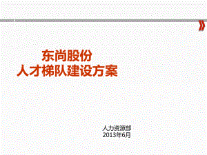 某股份公司人才梯队建设方案(-40张)课件.ppt