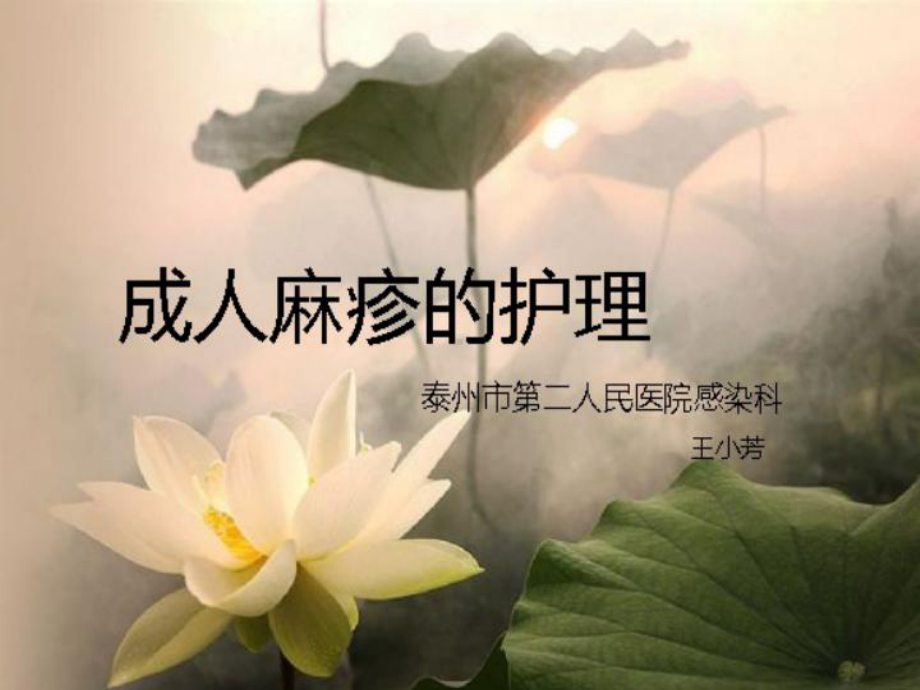 成人麻疹的护理-课件.ppt_第1页