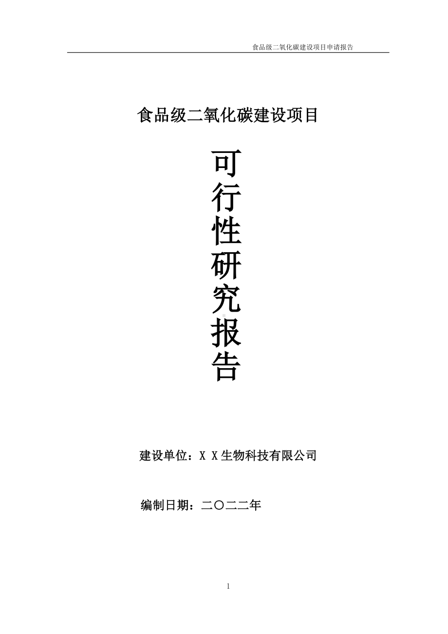 食品级二氧化碳项目可行性研究报告备案申请模板.doc_第1页