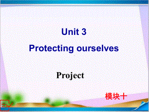 新牛津译林版高中英语Module-10-Unit-3-Project-课件.ppt-(课件无音视频)