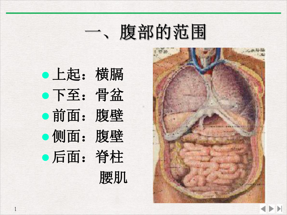 教学诊断检体腹部部帅完美课课件.ppt_第3页