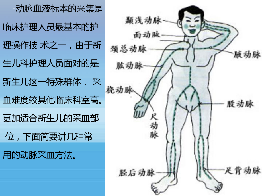 新儿儿动脉采血技巧选编课件.ppt_第2页