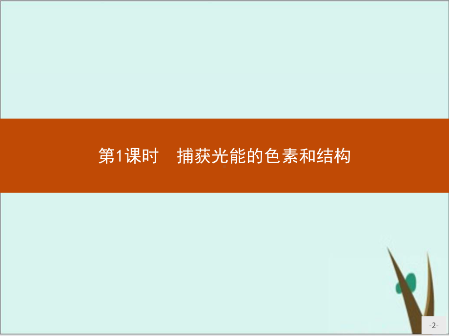 捕获光能的色素和结构-课件完美版人教版高中生物必修一.pptx_第2页