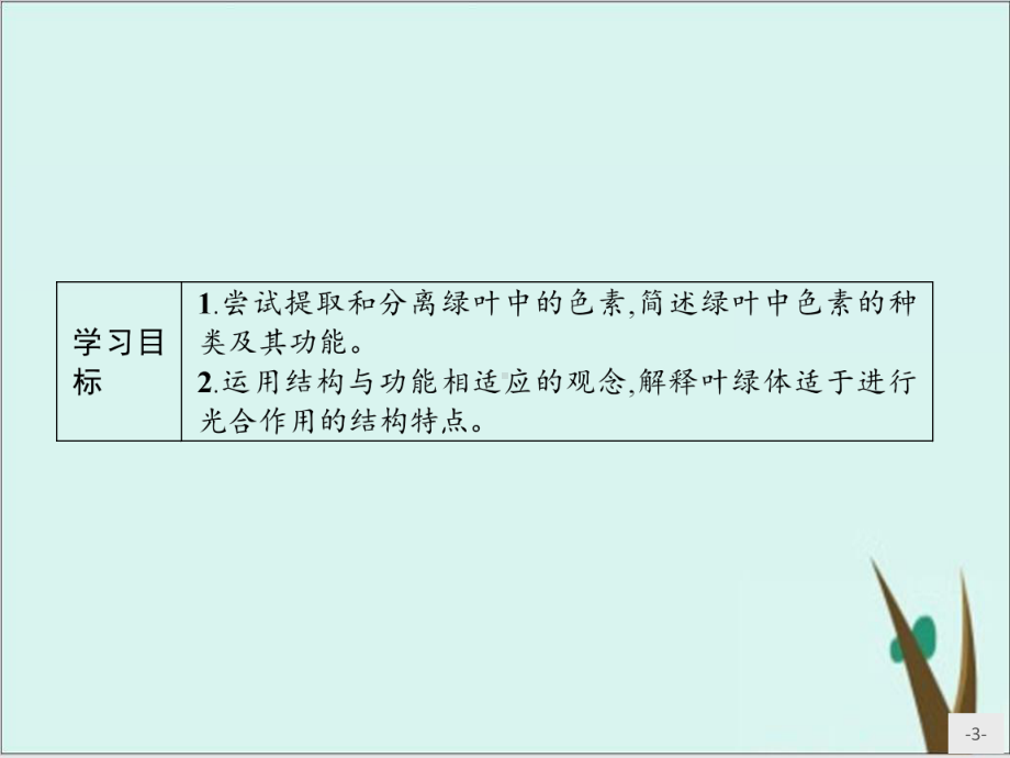 捕获光能的色素和结构-课件完美版人教版高中生物必修一.pptx_第3页