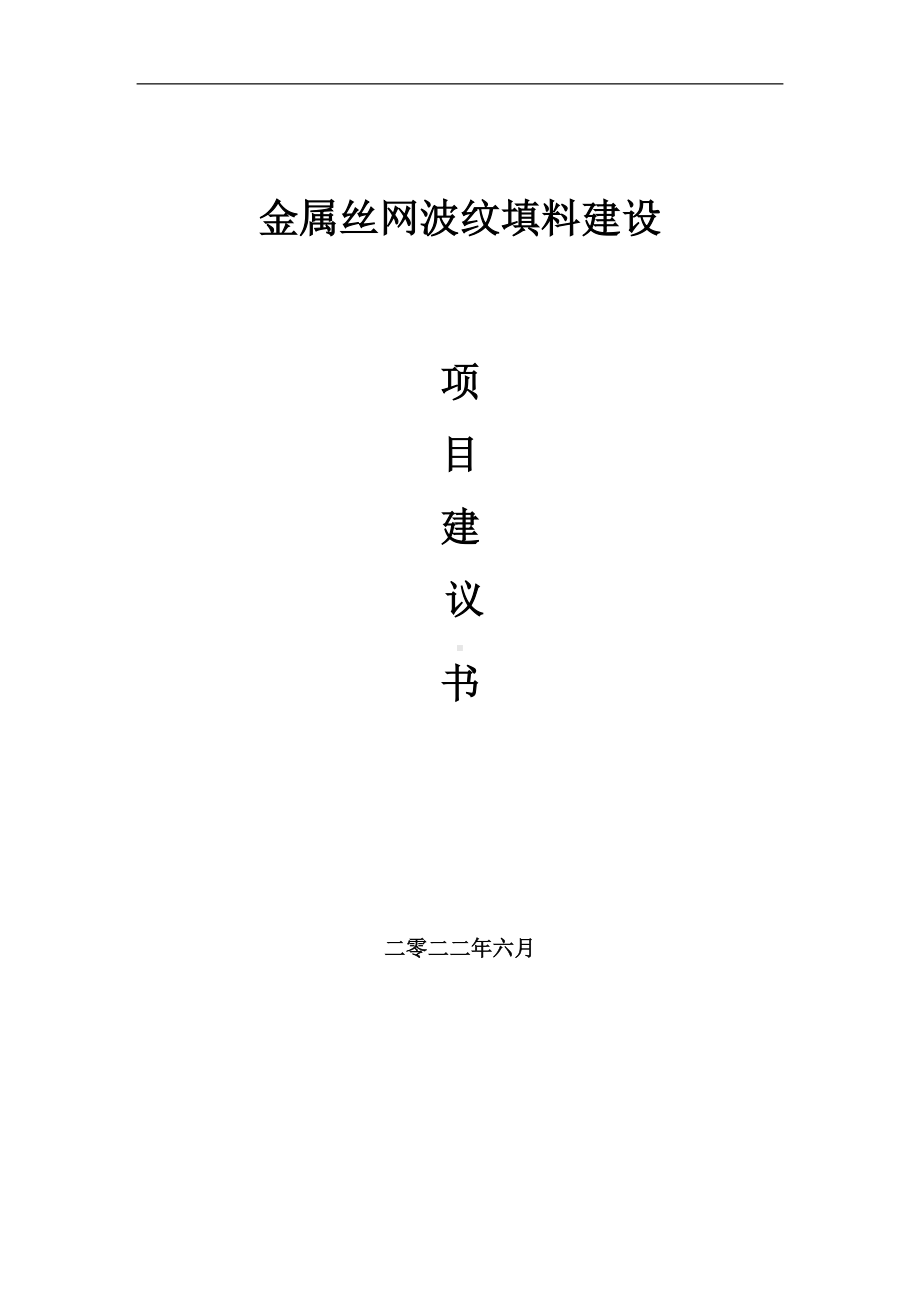 金属丝网波纹填料项目建议书（写作模板）.doc_第1页