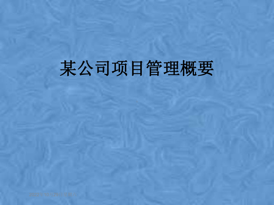 某公司项目管理概要课件.ppt_第1页