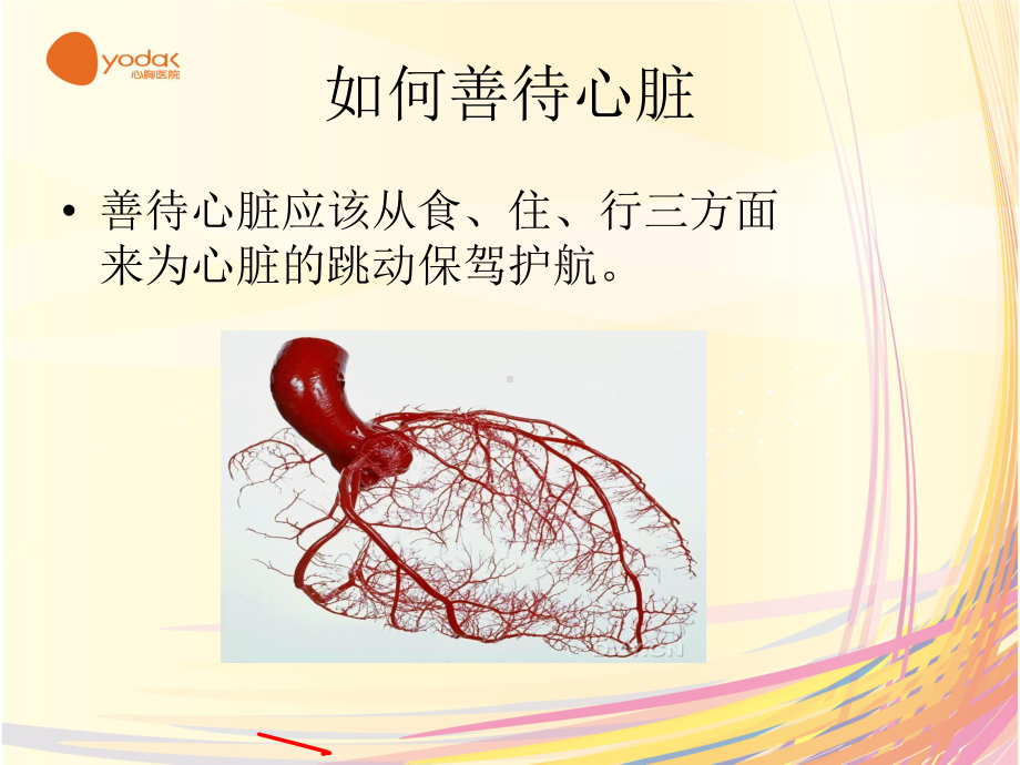 我们的心脏课件.ppt_第3页