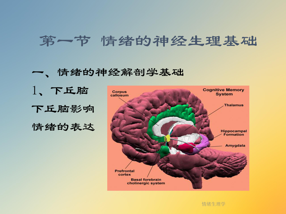 情绪生理学课件.ppt_第2页