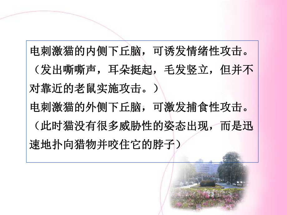 情绪生理学课件.ppt_第3页