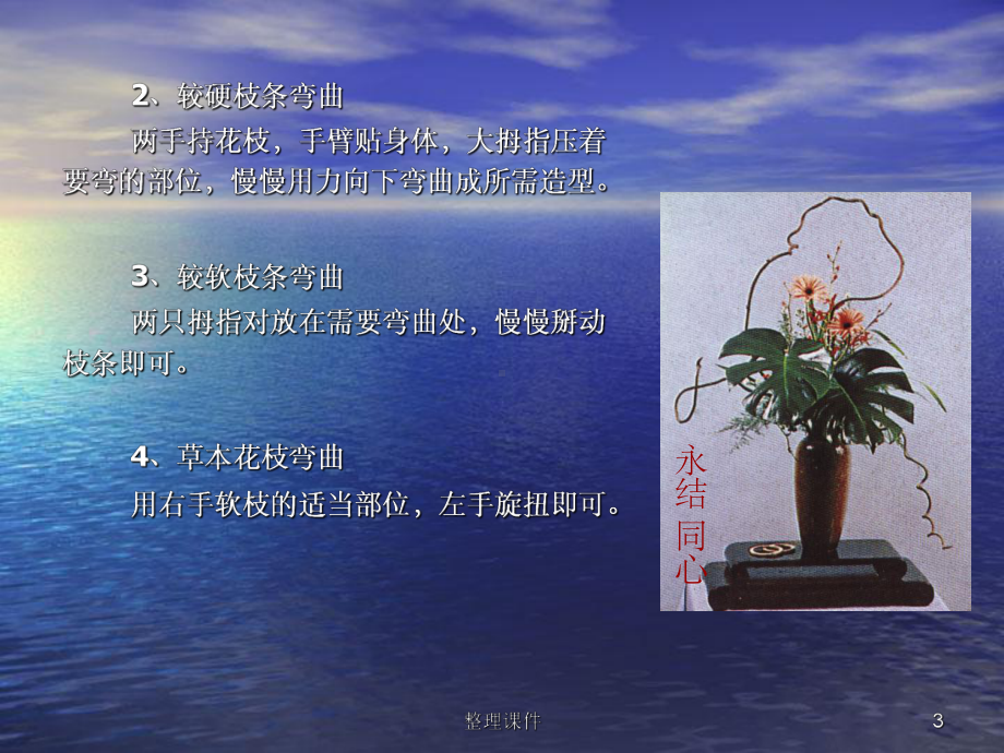 插花基本技能课件.ppt_第3页