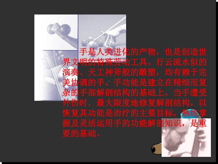 手部解剖及相关结构参考课件.ppt_第2页