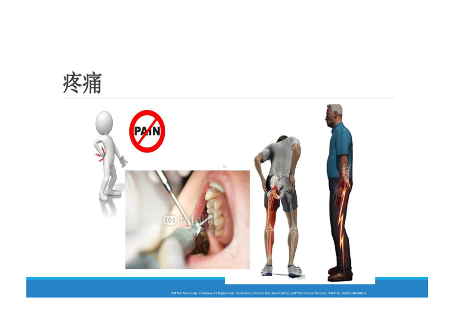 慢性下腰痛诊断及治疗策略共40张课件.ppt_第2页