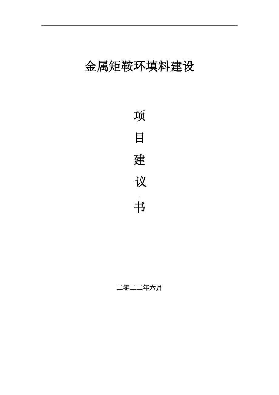 金属矩鞍环填料项目建议书（写作模板）.doc_第1页