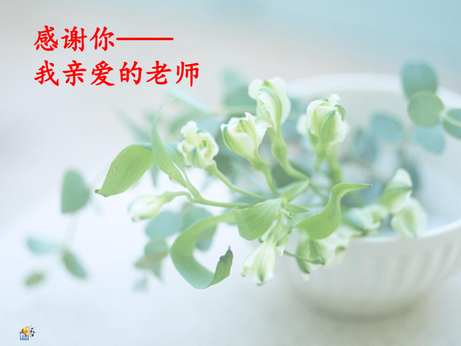 感谢你-我亲爱的老师主题班会课件.ppt_第1页