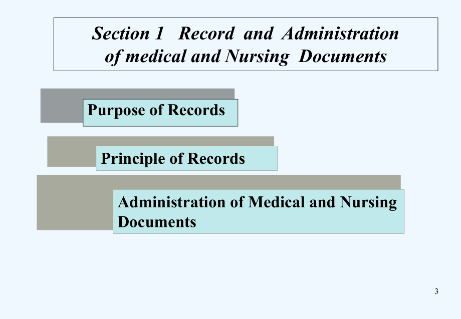 护理-英文-课件-护理文件书写-.ppt_第3页