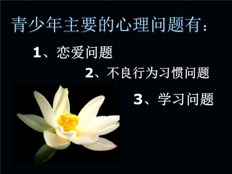 早恋主题班会课件-2.ppt_第2页