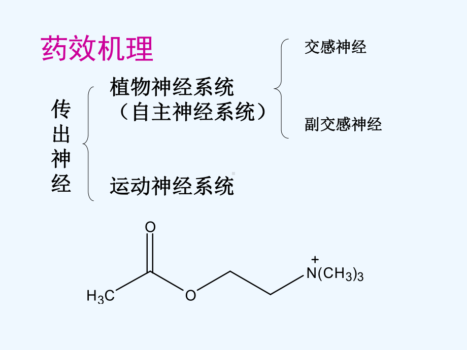 拟胆碱药与抗胆碱药课件.ppt_第2页