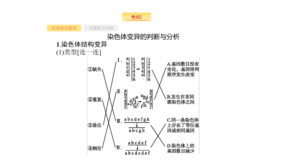 新设计生物人教大一轮复习课件：7单元生物的变异和进化-22-.pptx_第3页