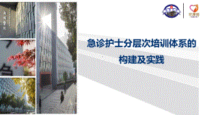 急诊护士分层次培训体系构建与实践课件.ppt