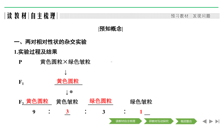 新设计生物人教(新课改地区)必修二课件：1章-遗传因子的发现-第2节-第1课时-.pptx_第2页