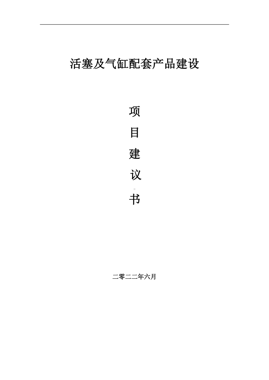 活塞及气缸配套产品项目建议书（写作模板）.doc_第1页