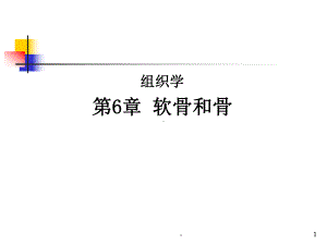 新版组织学：软骨和骨-医学课件.ppt