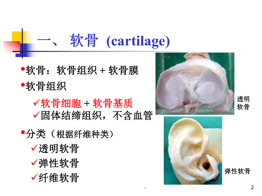 新版组织学：软骨和骨-医学课件.ppt_第2页